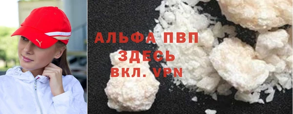 крисы Новокубанск