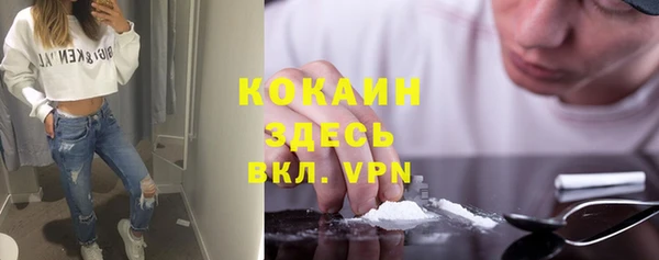 крисы Новокубанск