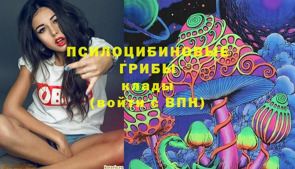 мескалин Новозыбков