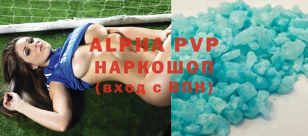 крисы Новокубанск