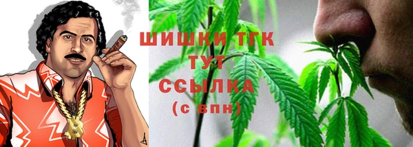 крисы Новокубанск